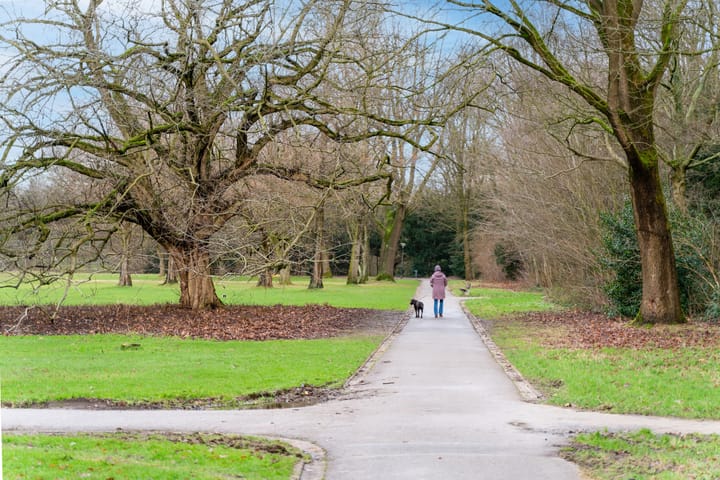 Foto 3 van Tiengemetenstraat 15