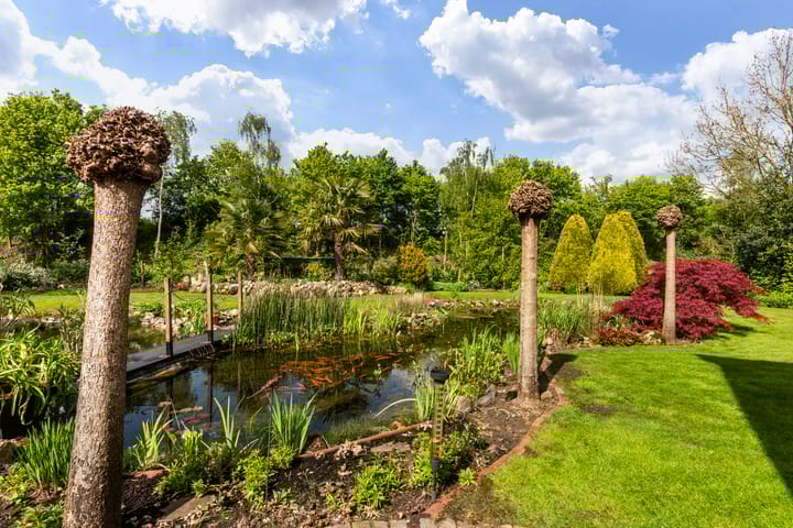 Photo 41 of Bergakker 34