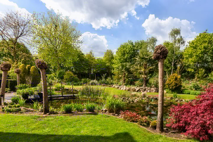 Photo 42 of Bergakker 34