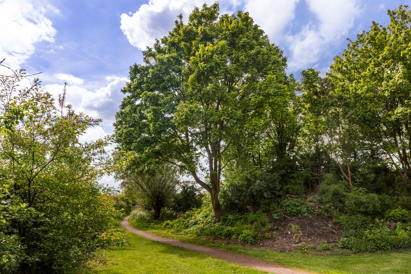 Foto 49 van Bergakker 34