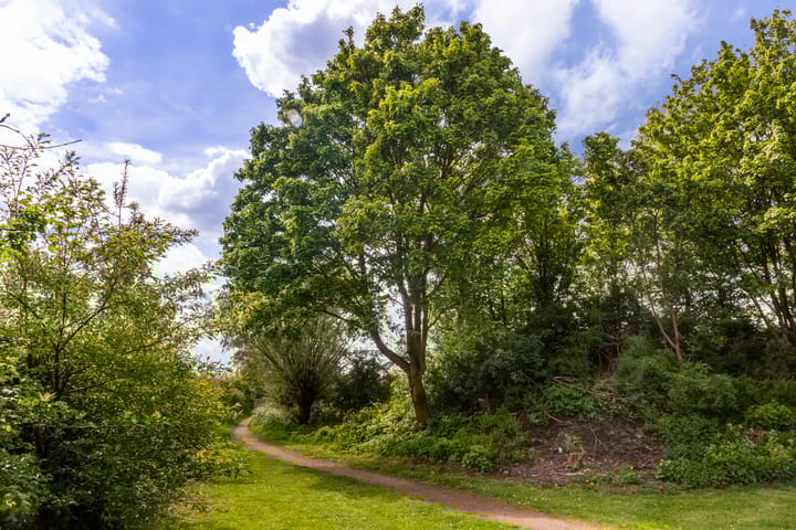 Photo 49 of Bergakker 34