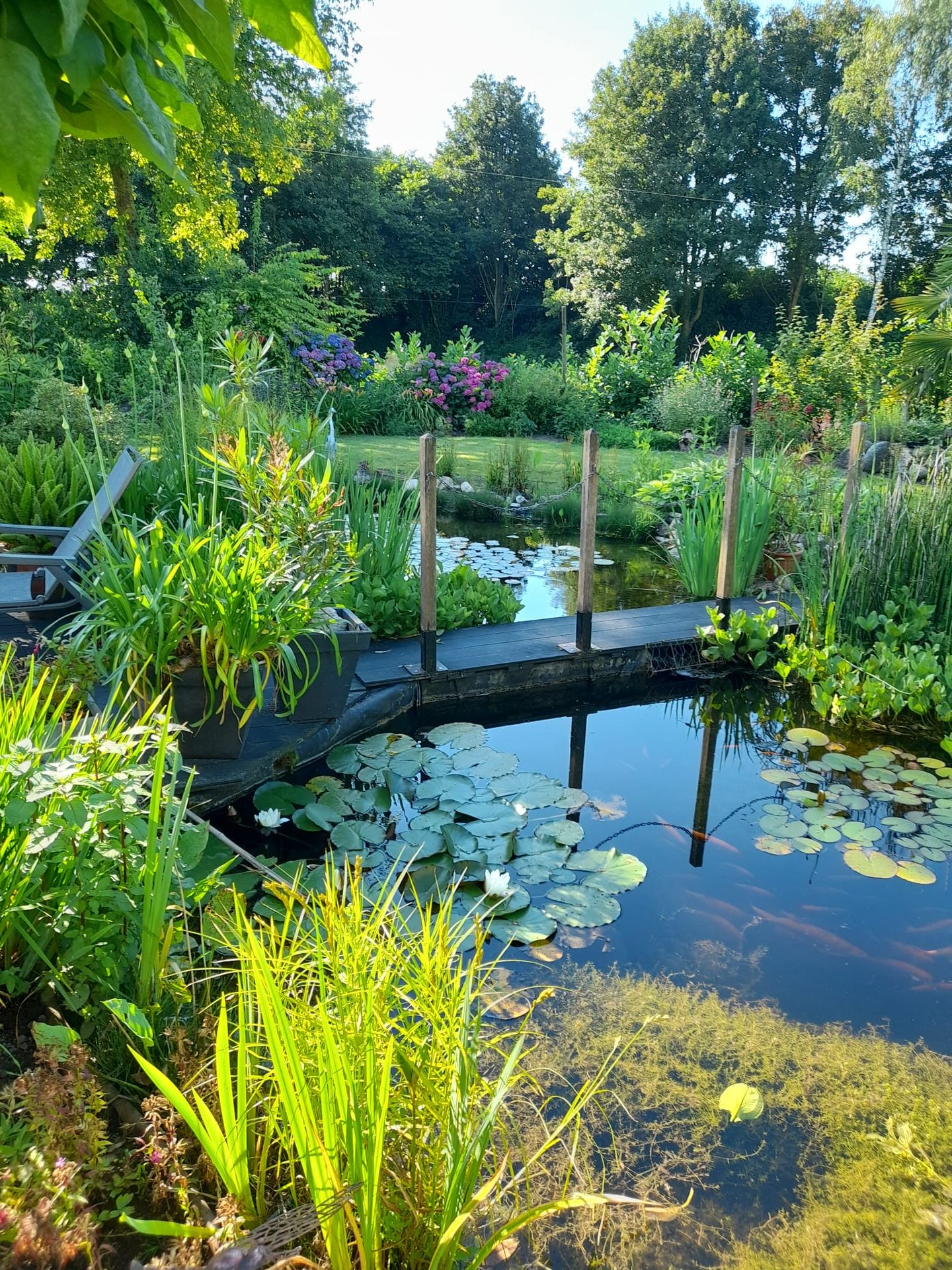 Foto 50 van Bergakker 34