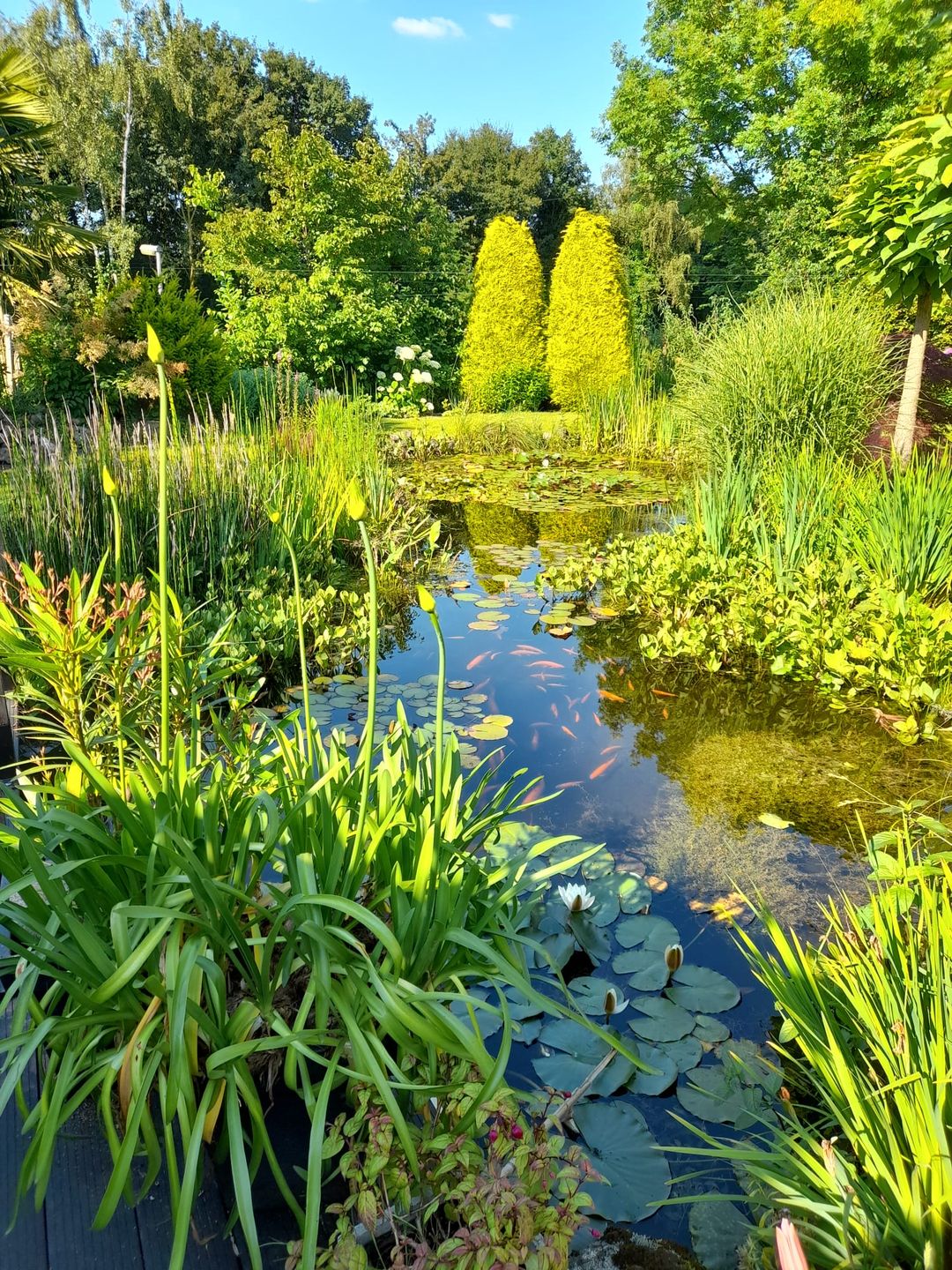 Foto 53 van Bergakker 34