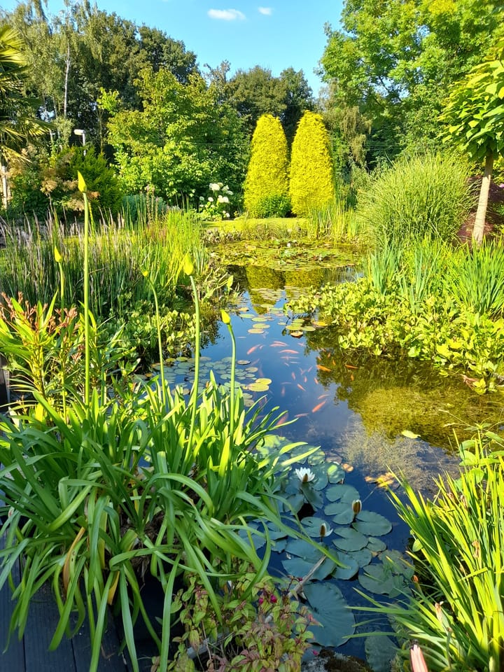 Photo 53 of Bergakker 34