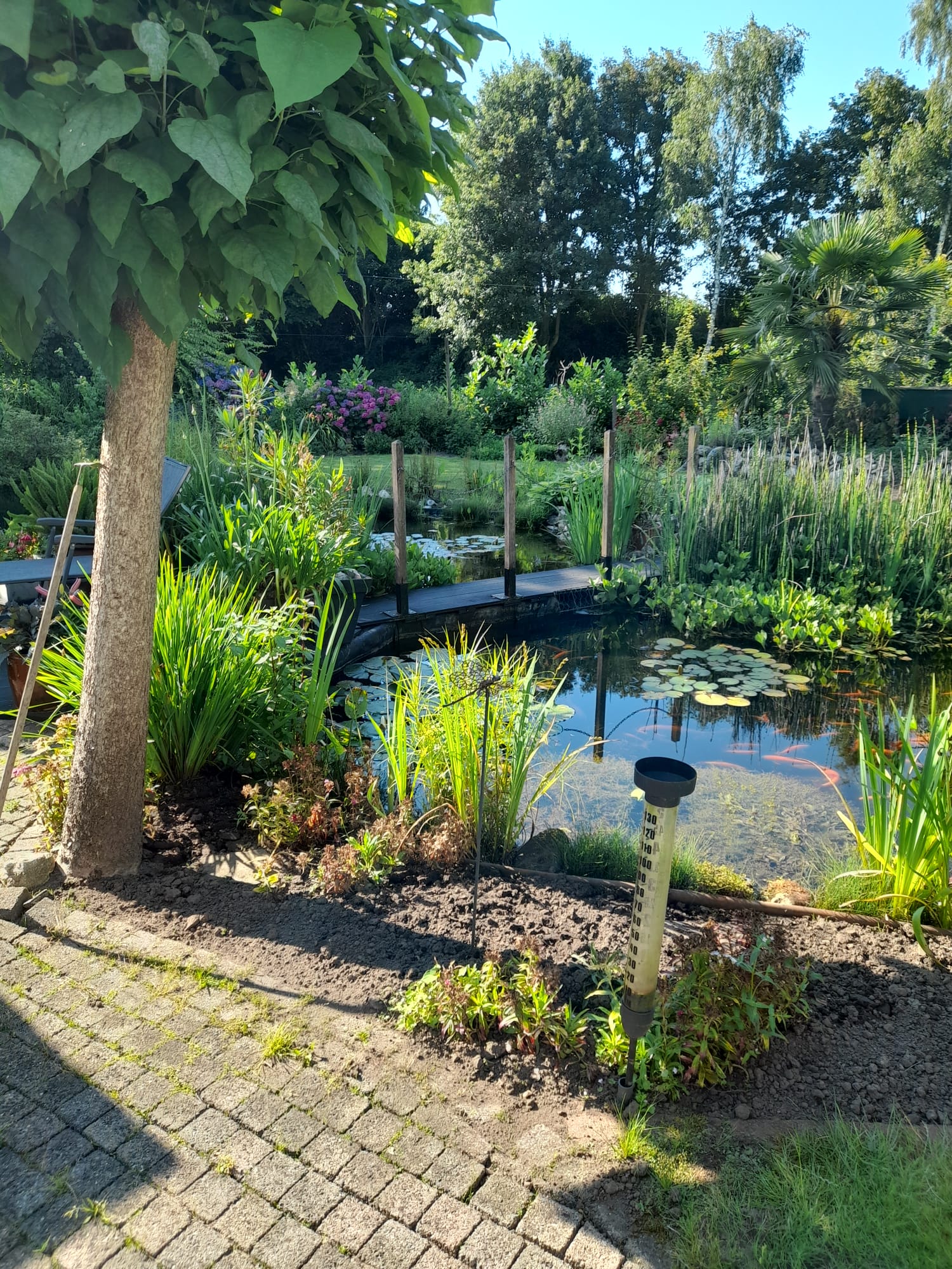 Foto 54 van Bergakker 34