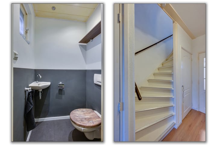 Foto 10 van Reigersplantsoen 3