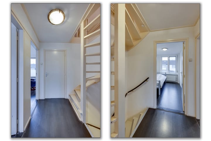 Foto 11 van Reigersplantsoen 3