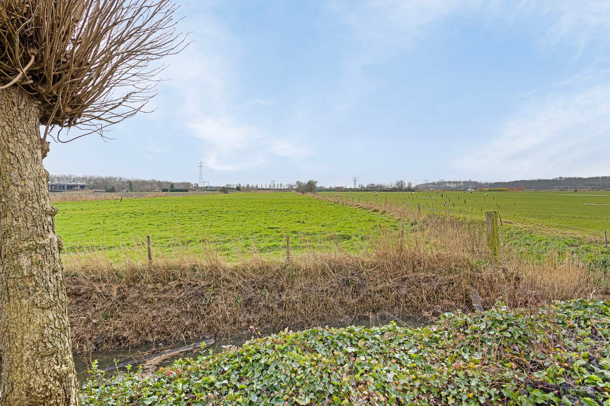 Foto 4 van Jan van Renessestraat 19