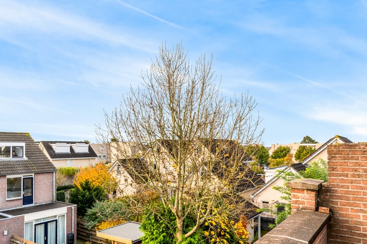 Foto 25 van Beuger 15