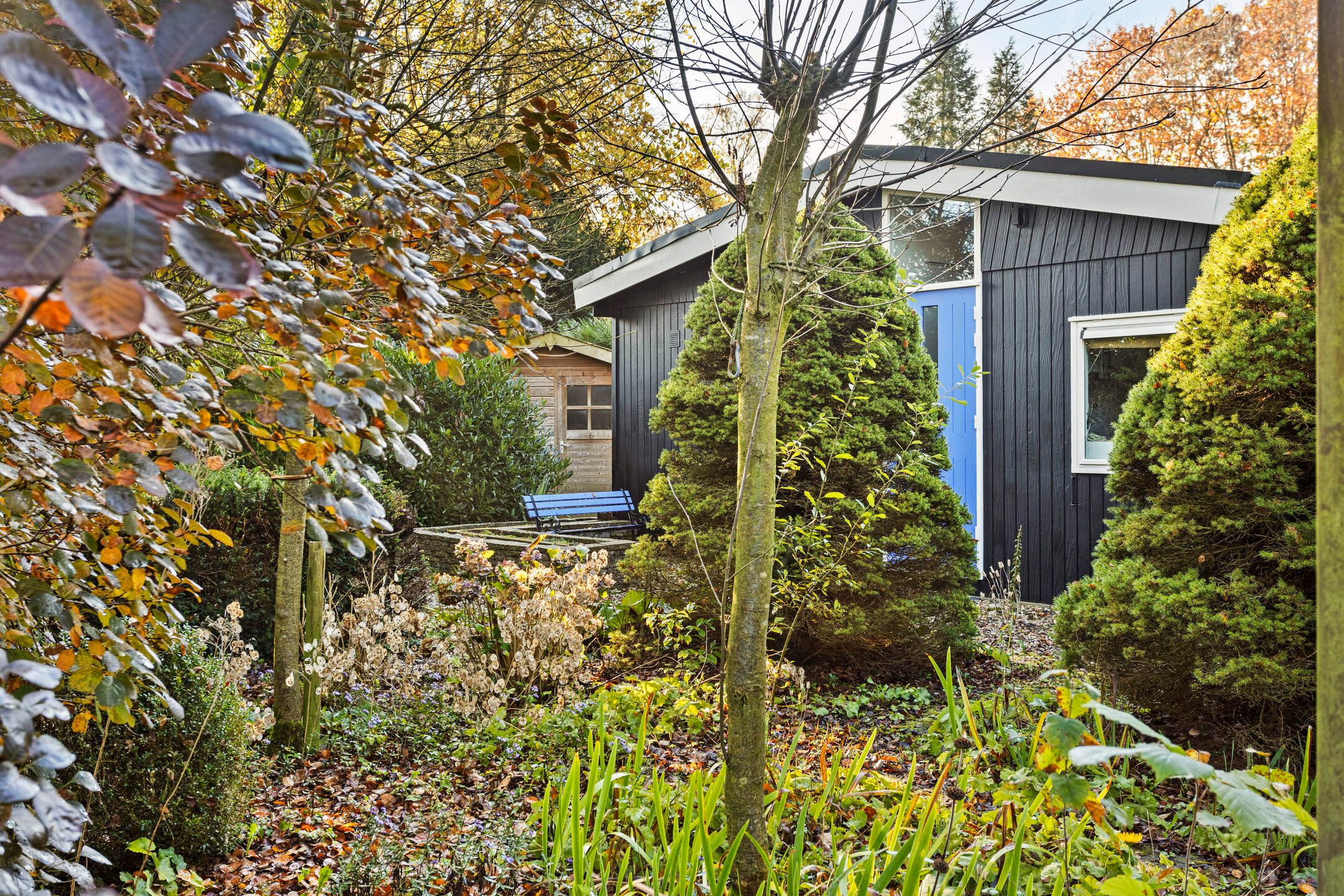 Foto 3 van Noordhoekstraat 41