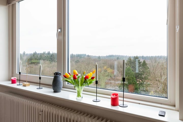 Foto 4 van Soerenseweg 125-87