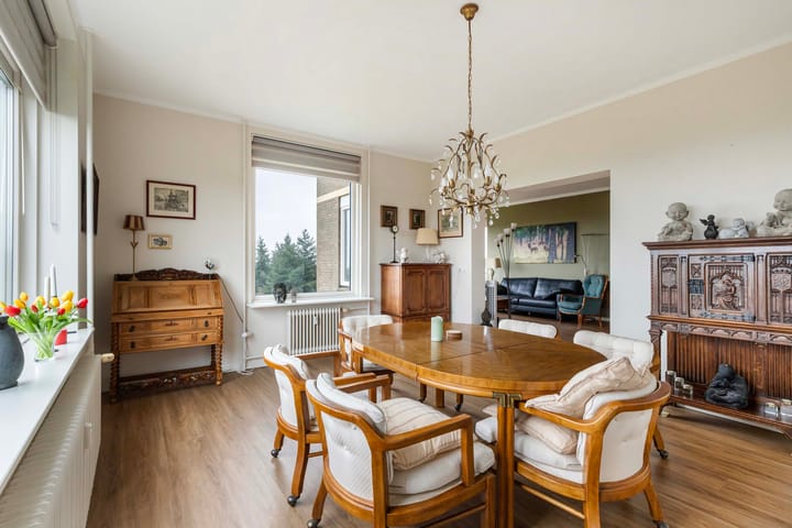 Foto 6 van Soerenseweg 125-87