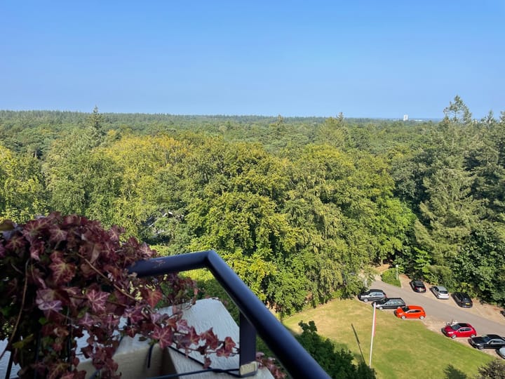 Foto 13 van Soerenseweg 125-87