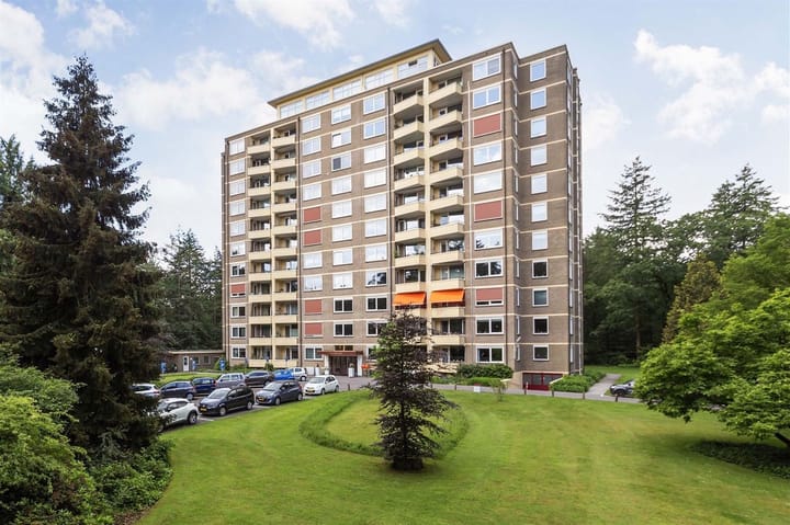 Foto 25 van Soerenseweg 125-87