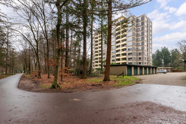 Foto 26 van Soerenseweg 125-87