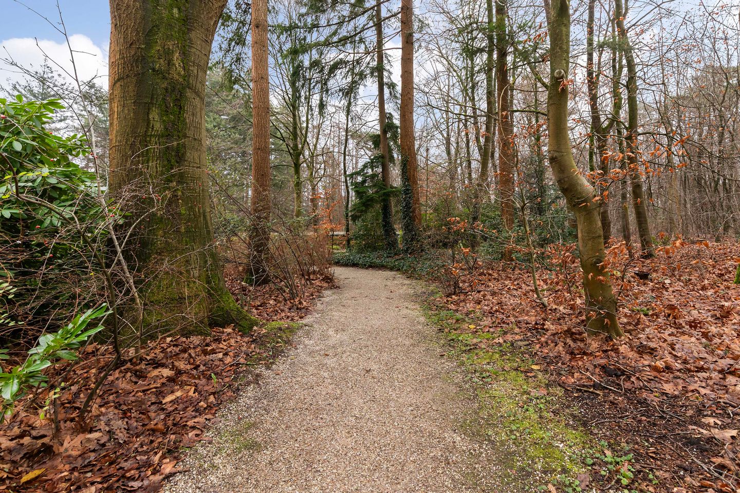 Photo 29 of Soerenseweg 125-87