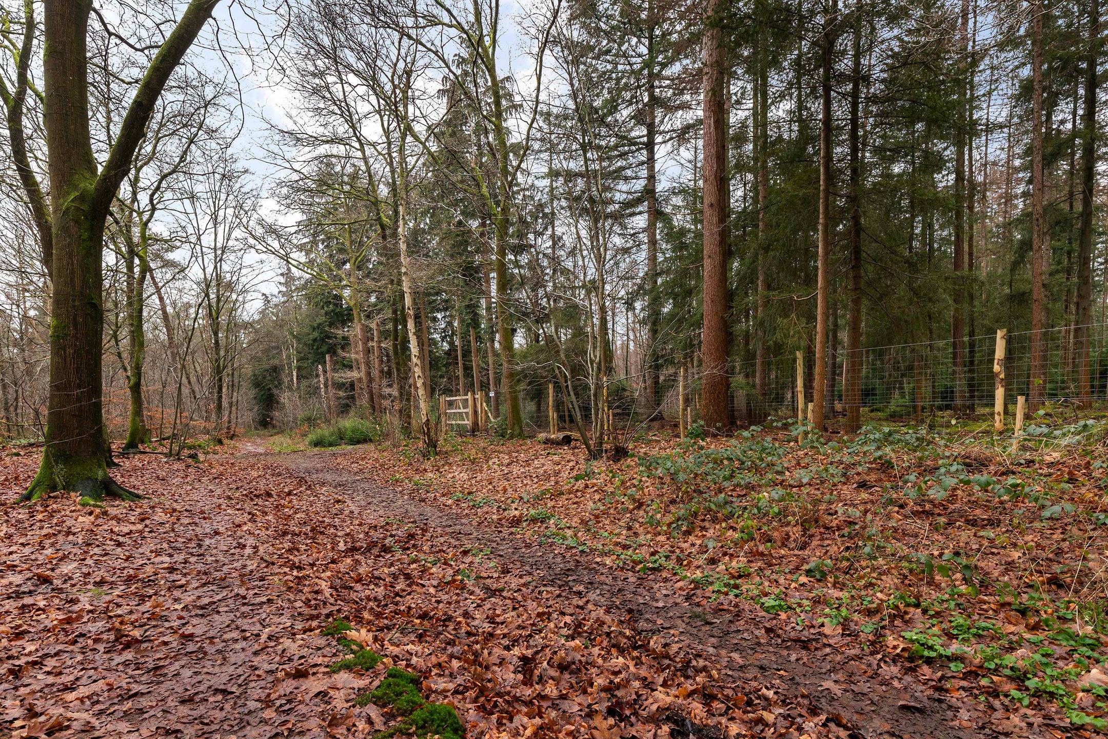 Photo 30 of Soerenseweg 125-87