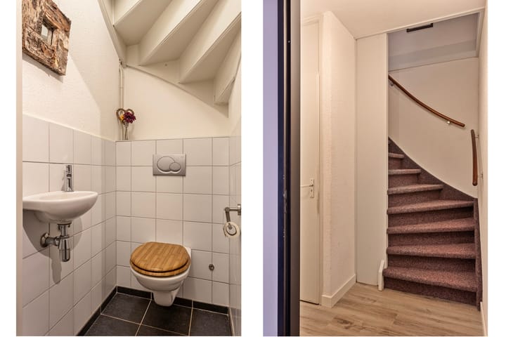 Foto 13 van Pijlstaart 3