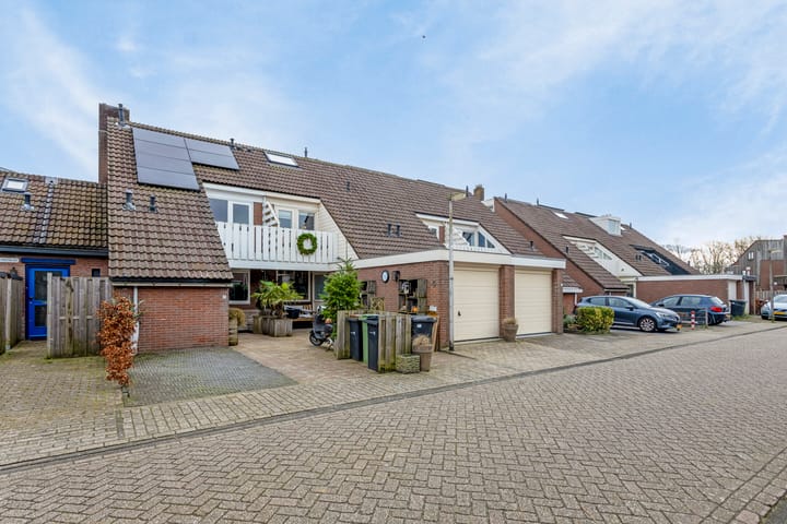 Foto 39 van Hoefblad 3