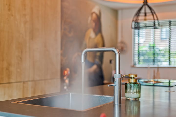 Foto 16 van Hoefblad 3