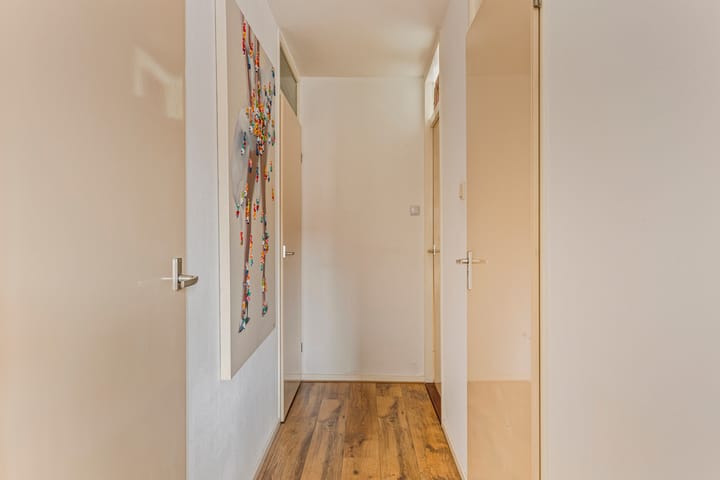 Foto 19 van Hoefblad 3