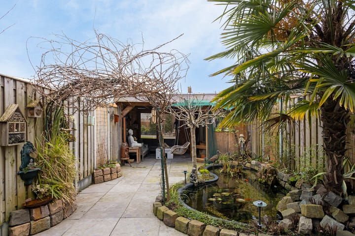 Foto 32 van Hoefblad 3