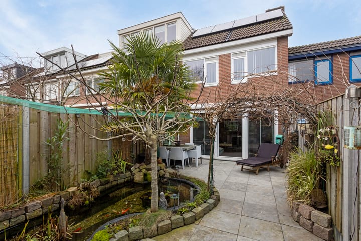 Foto 6 van Hoefblad 3