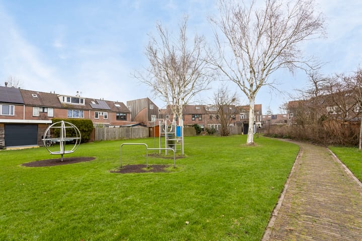 Foto 41 van Hoefblad 3