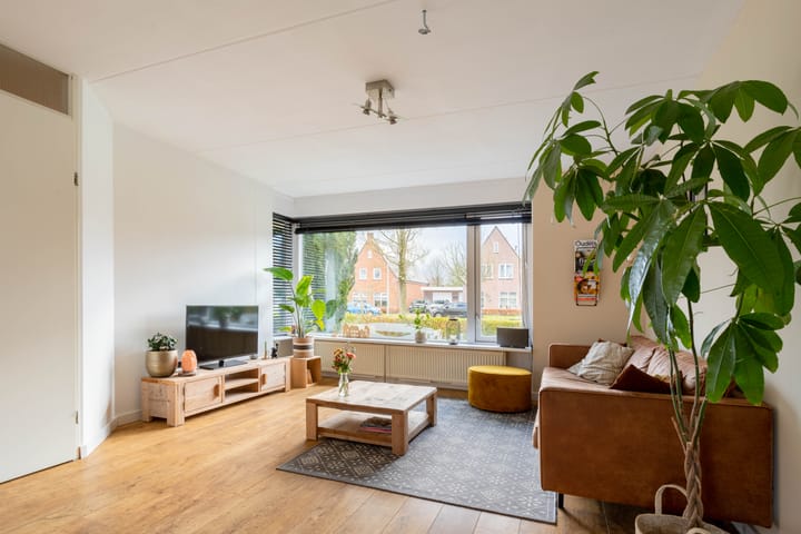 Foto 2 van Veenpluis 2