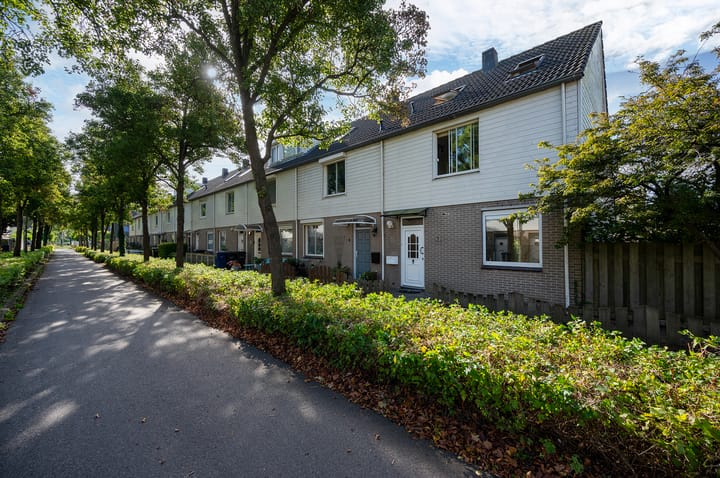 Foto 1 van Volkerakpad 2