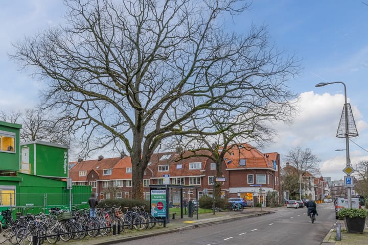 Foto 58 van Gerard Doustraat 33