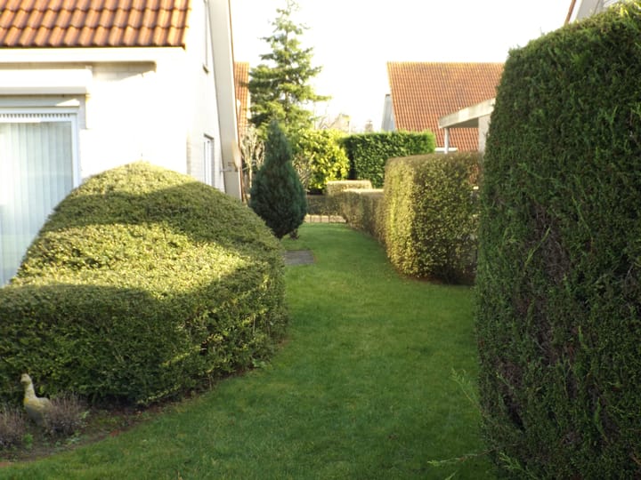 Foto 4 van Noordzeelaan 56