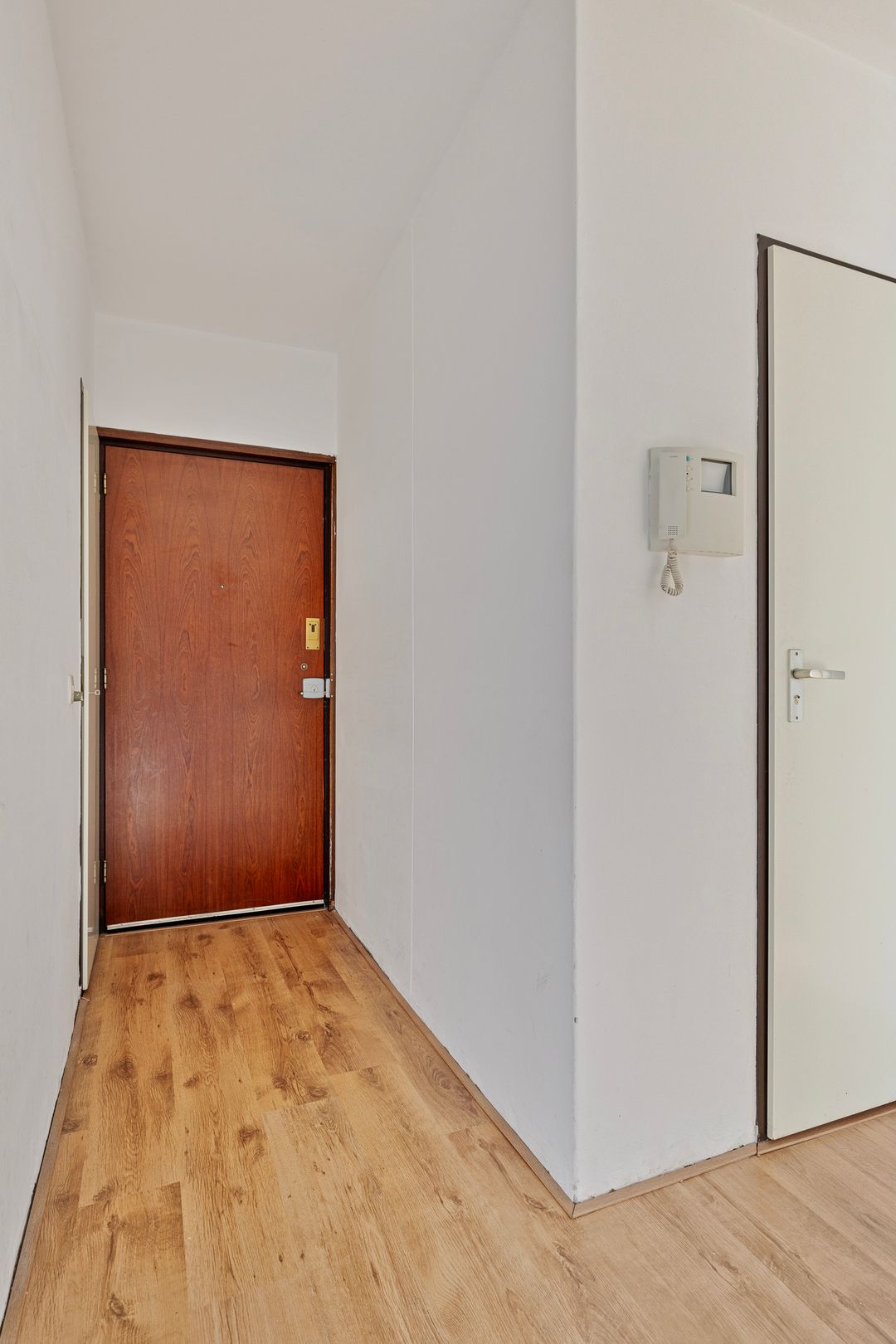 Foto 7 van Ir J.P. van Muijlwijkstraat 176