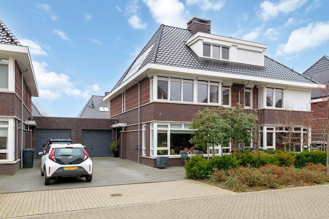 Foto 1 van Grote Vuurvlinder 9