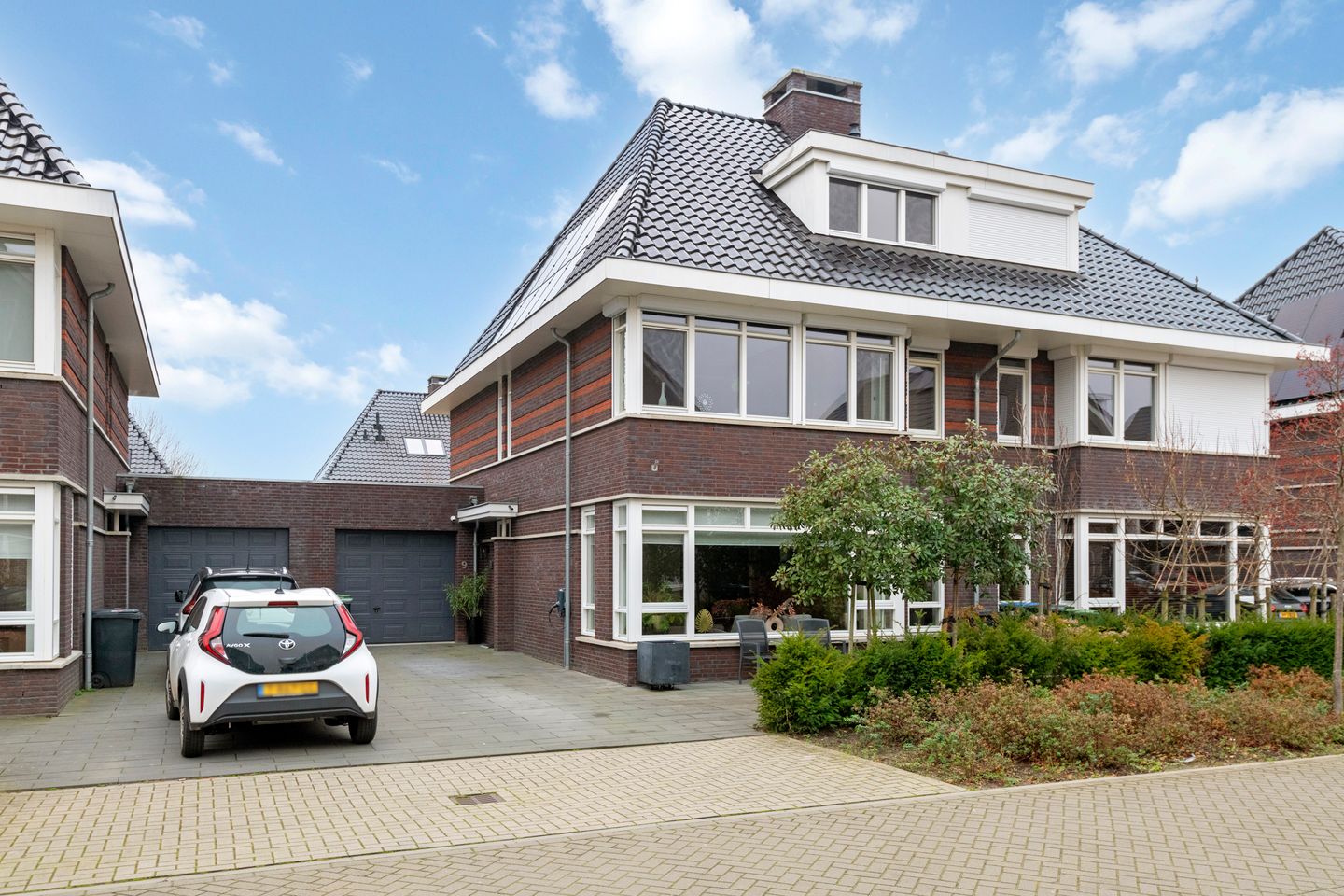 Foto 1 van Grote Vuurvlinder 9