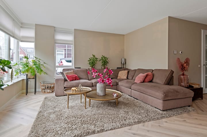 Foto 8 van Grote Vuurvlinder 9