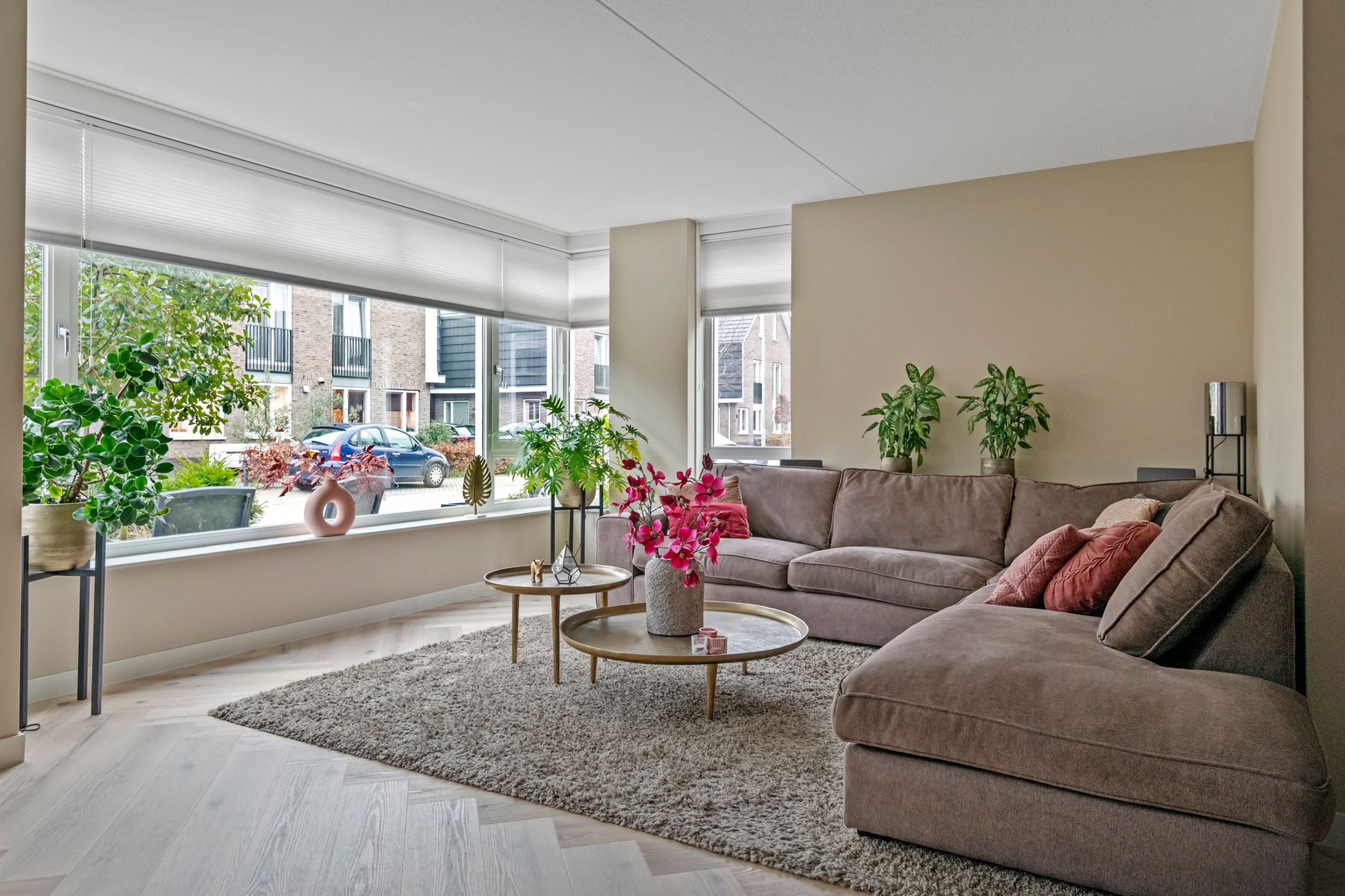 Foto 9 van Grote Vuurvlinder 9