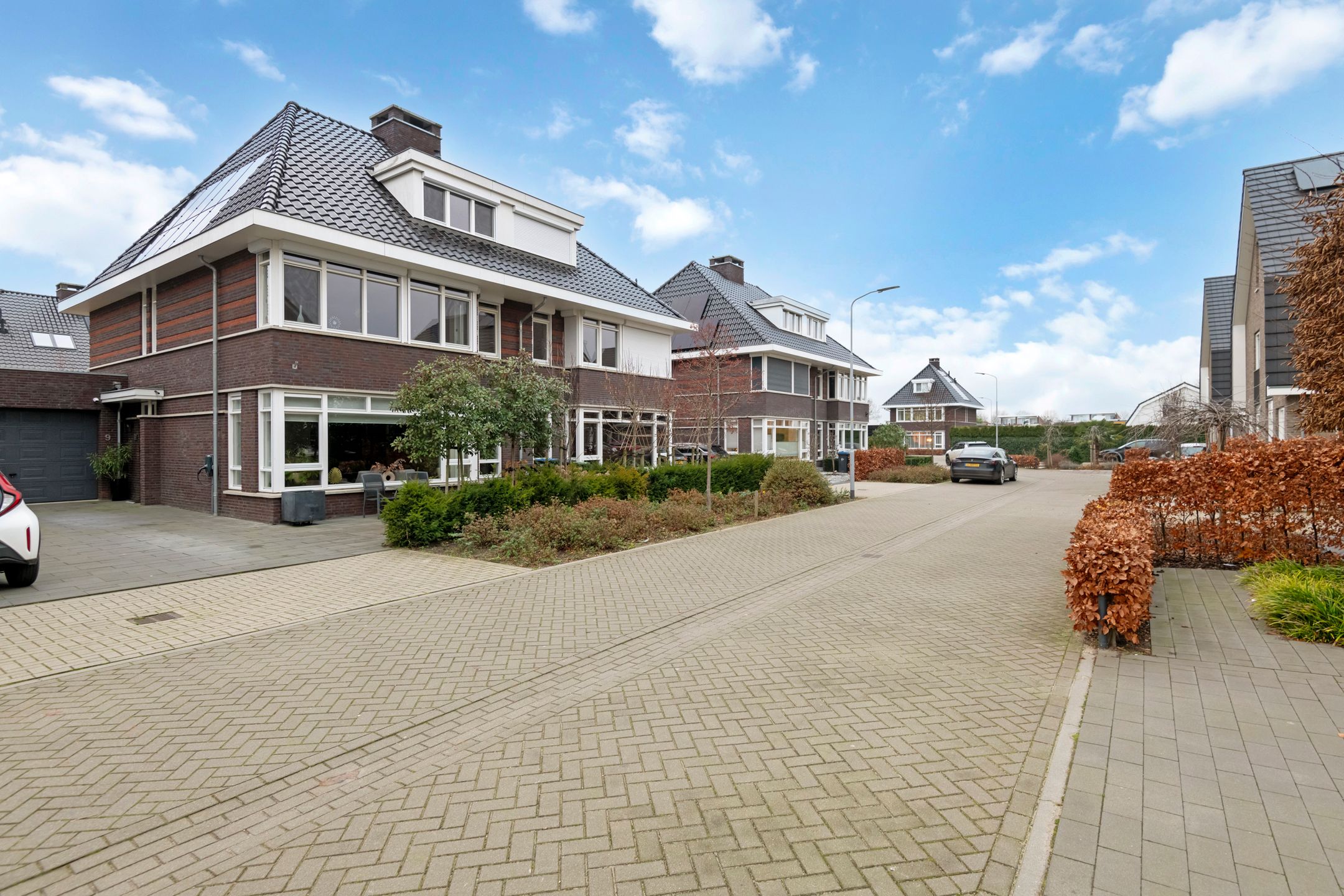 Foto 6 van Grote Vuurvlinder 9