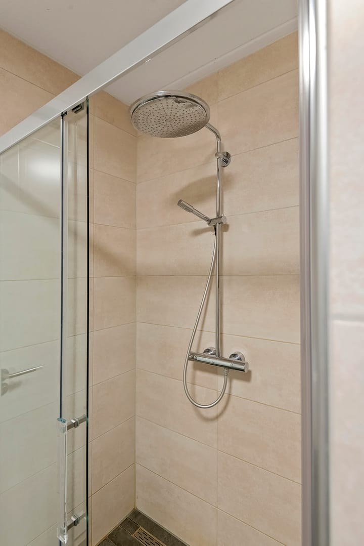 Foto 39 van Grote Vuurvlinder 9