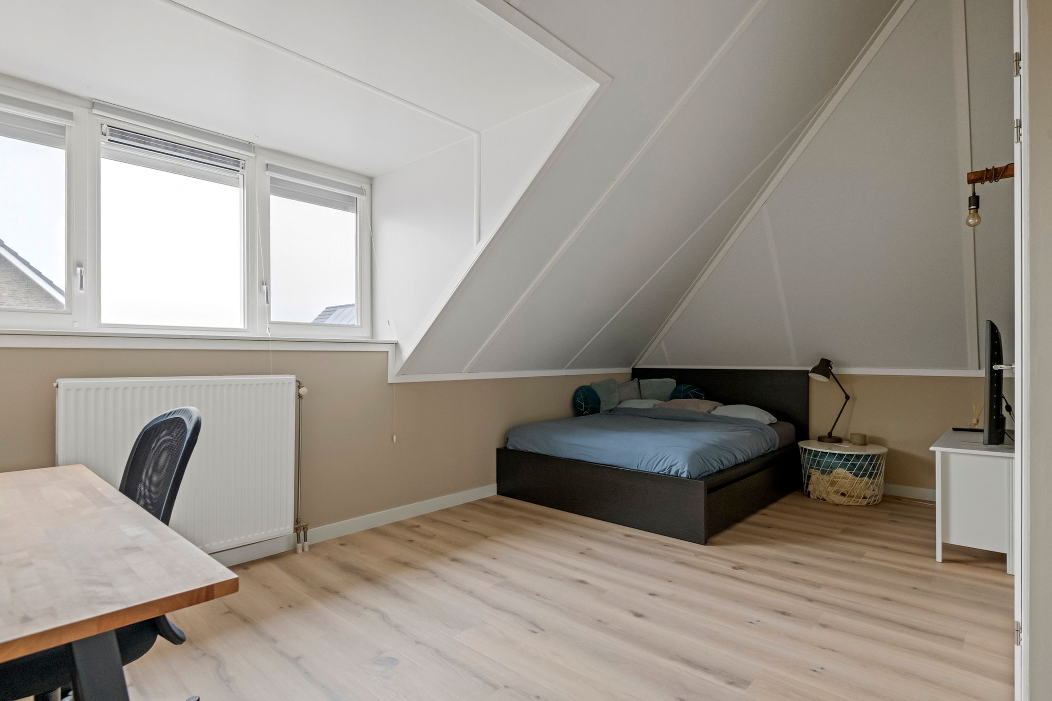 Foto 42 van Grote Vuurvlinder 9