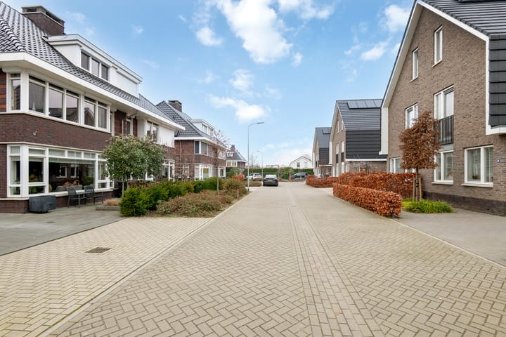 Foto 45 van Grote Vuurvlinder 9