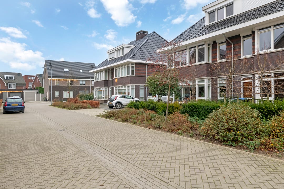 Foto 46 van Grote Vuurvlinder 9