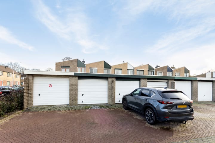 Foto 3 van Anemoon 25