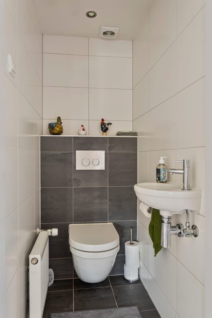 Foto 7 van Anemoon 25