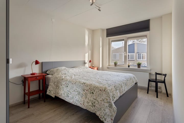 Foto 19 van Anemoon 25