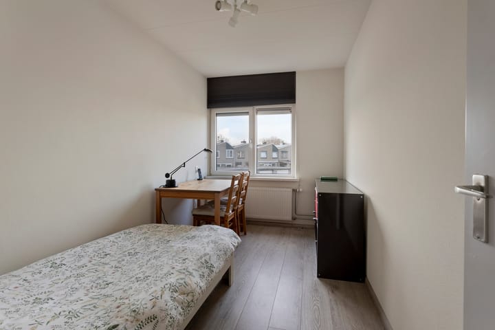 Foto 25 van Anemoon 25