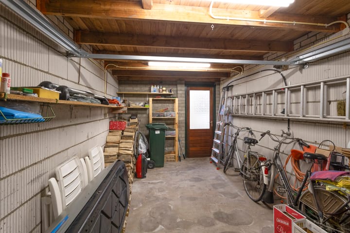 Foto 30 van Anemoon 25