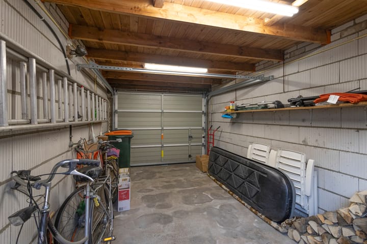 Foto 31 van Anemoon 25