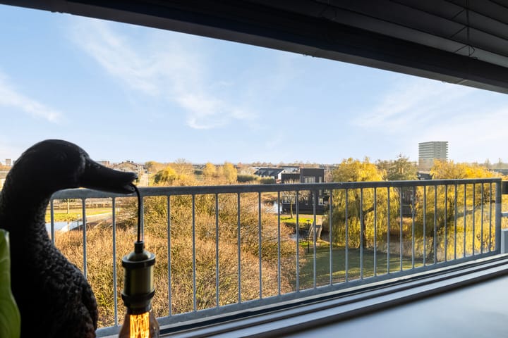 Foto 8 van Zuiderkruis 666