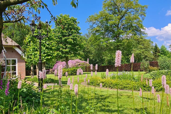 Foto 46 van Beulekampersteeg 55